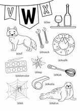 English Alphabet With Cartoon Cute Children Illustrations. Kids Learning Material. Letter W. Illustrations Wolf, Watercolor, Wasp, Wine, Walrus, Web.

