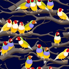 Wall Mural - Vector seamless pattern with birds and branches