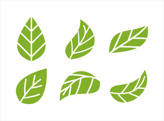 green leaf icons design template vector	