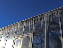 A Row Of Icicles Hanging On A Greenhousein In Winter. Beautiful View On A Winter Day With A Frozen Ice And Green Plants Behind Glass.