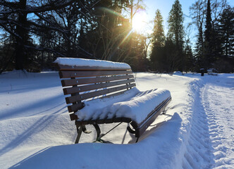 Snowy winter landscape with a snow-covered bench. Beautiful view on a winter day with a frozen plants in snow, illuminated by natural sunlight. 