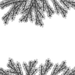 forest pine branches frame. black and white and drawn vector illustration.