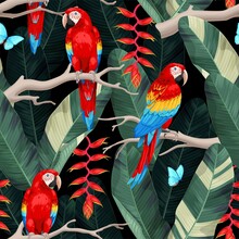 Vector Seamless Pattern With Macaw And Trees