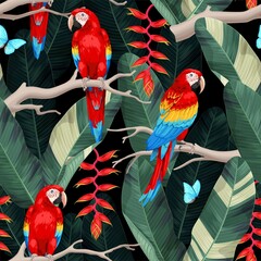 Wall Mural - Vector seamless pattern with macaw and trees