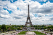 View of the Eiffel Tower from Trocadero Garden, Paris