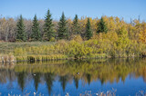 Fototapeta Most - Pylypow Wetlands on an Autumn Day