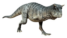 3D Rendering Carnotaurus Sastrei Dinosur On White