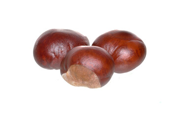 Wall Mural - chestnut isolated on white background