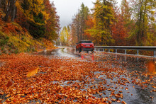 Misty Landscape. Overcast Autumn Day. Bright Fall. A Red Car Rushes Along A Mountain Serpentine. Wet Highway. Epic Look. Trees With Red And Yellow Foliage. Mountain Road. Europe. 