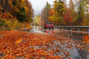 misty landscape. overcast autumn day. bright fall. a red car rushes along a mountain serpentine. wet