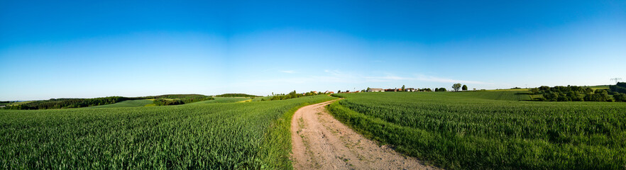 green field and clear blue sky panorama