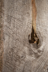 Poster - surface Wood texture background, old wood texture pattern