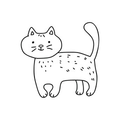  Vector doodle illustration of cute cat.