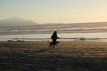 Silhouette Girl And Dog On Beach Against Sky