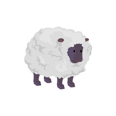 Canvas Print - cute sheep design