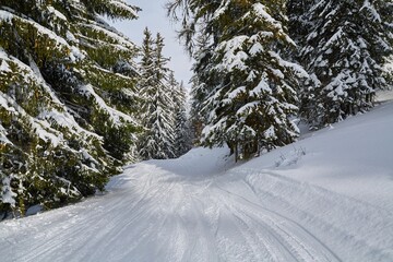 Wall Mural - Winter Snowy Mountain Landscape