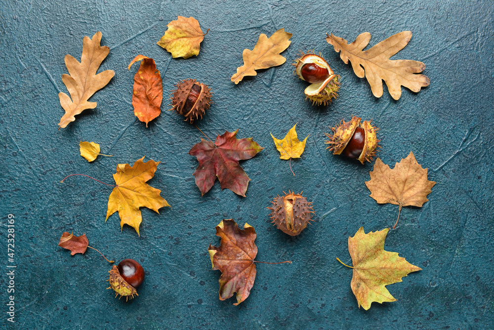 Composition with autumn leaves and chestnuts on color background