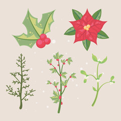 Poster - five mistletoe items