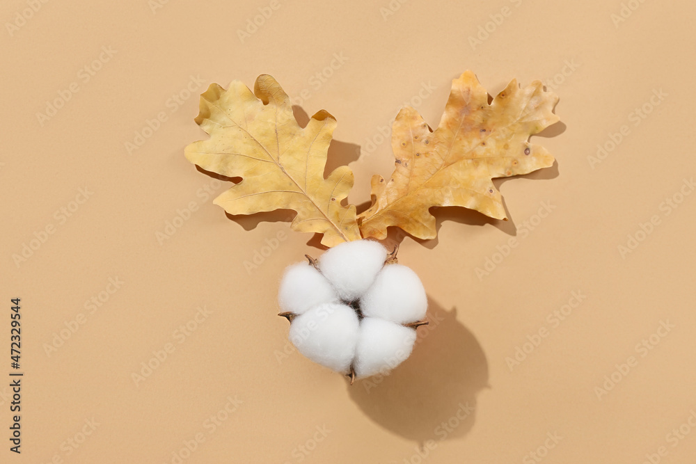 Cotton flower and fallen leaves on beige background