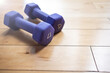 © Jeff McCollough - Two small purple dumbbells laying on a hardwood floor inside a gym