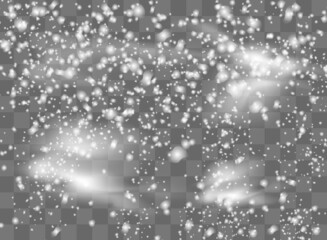 Wall Mural - Vector snowfall isolated. Winter background. Snow overlay illustration. Snowflakes and ice.