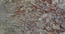 Pamukkale Travertine Texture. Wavy Limestone Textured Deposits On Terraces Of Carbonate Minerals In Pamukkale, Turkey.