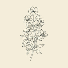 Hand Drawn Azalea Flower Illustration