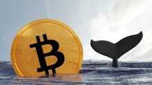 Bitcoin whale , whale in ocean and bitcoin . Whale is large investor in the BTC market .3D Rendering.