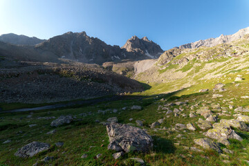 Poster - A high mountain gorge with grass, trees, and rocks, in early fall