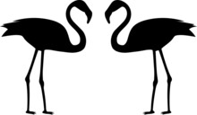 Black Silhouette Of A Flamingo Bird. Illustration On A White Background. Two Flamingo Birds.