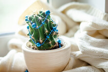 A Cactus That Looks Like A Christmas Tree. Home Plant With Christmas Decor Decorated With Garlands. Cozy New Year Background. Defocused