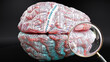 Speech sound disorder in human brain, hundreds of terms related to Speech sound disorder projected onto a cortex to show broad extent of this condition, 3d illustration