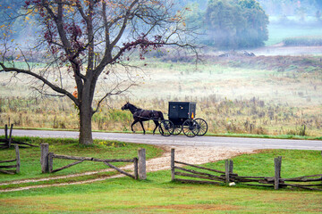 Sticker - Amish buggy and split rail fence in late autumn