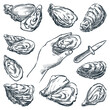 Oysters collection. Oyster knife and human hand holding open mussel. Hand drawn vector sketch illustration