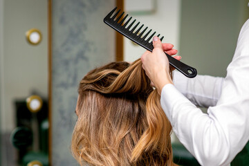 Wall Mural - A female hairdresser is combing the long brown hair of a young woman at a parlor