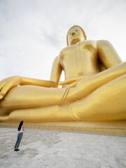 Asian woman Pay respect at Giant Golden Buddha in Wat Muang in Ang Thong district near Bangkok. Urban town city, Thailand