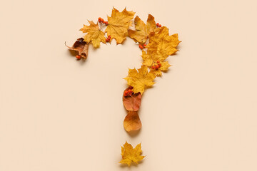 Question mark made of autumn leaves and rowan on color background