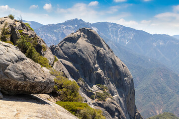 Poster - Sequoia National Park in California