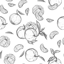 Hand Drawn Seamless Pattern Black And White Of Mandarin, Tangerine, Leaf. Vector Illustration. Elements In Graphic Style Label, Sticker, Menu, Package