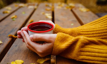 Cup Of Hot Tea In Female Hands Holding It On Wooden Table Autumn Background With Leaves. Warm Drink Concept.