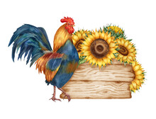 Watercolor Illustration With Rooster, Sunflowers, And A Wooden Fence, Isolated On White Background. Hand-drawn Watercolor Clipart.