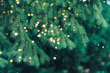 Branch Of Green Christmas Tree On Background Of Falling Snow And New Year's Lights