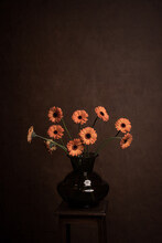 Painterly Still Life Of Orange Gerbera Flowers In Vase In Dark Rembrandt Style	