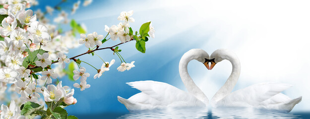 Wall Mural - beautiful festive flowers and two swans