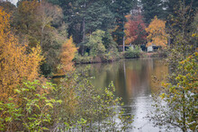 Sherwood Forest, UK - 17 Nov, 2021: Autumn Leaves And Colours In Sherwood Forest, Sherwood Pines, Nottinghamshire, UK