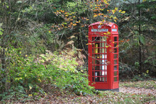 Sherwood Forest, UK - 17 Nov, 2021: Traditional British Red Public Telephone Box In A Nottinghamshire Forest