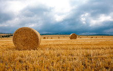 Round Bales Of Dry Straw On Agricultural Land