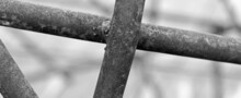 Barbed Wire Fence Detail