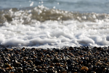 Poster - pebble sea shore in summer. beach