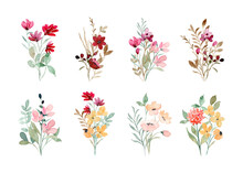 Wild Flower Bouquet Collection With Watercolor